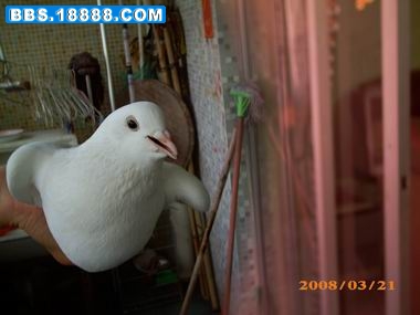 调整大小 IMG_0050.JPG