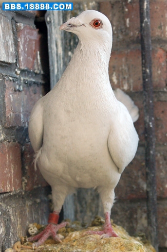 DSC_3601.jpg