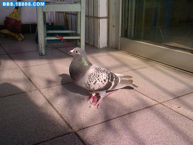Photo-0005.jpg