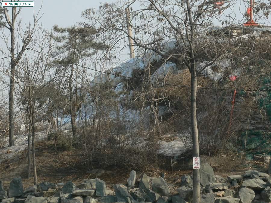 景1.jpg