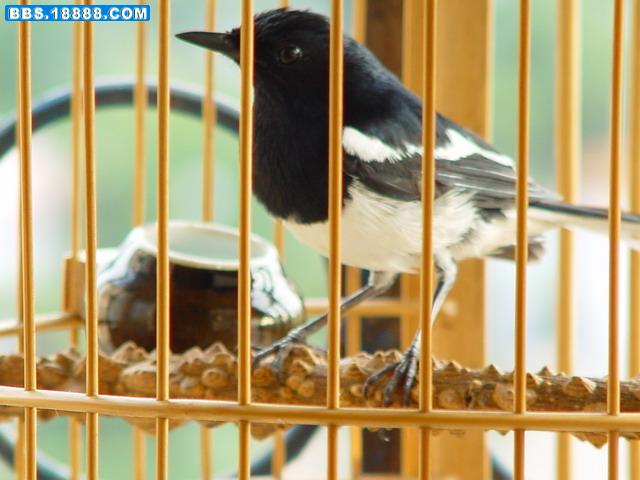 DSC06284_调整大小.JPG