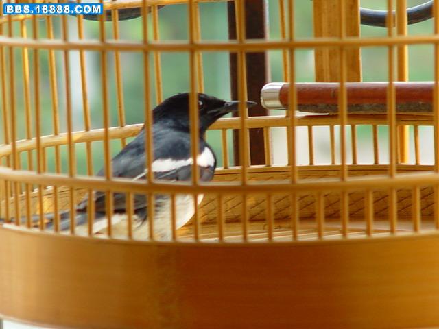 DSC06318_调整大小.JPG