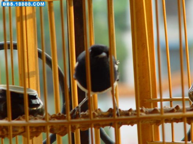 DSC06364_调整大小.JPG