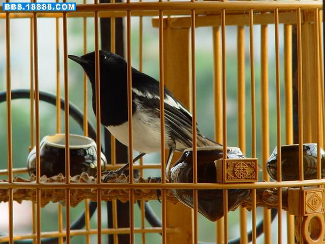 DSC06343_调整大小.JPG