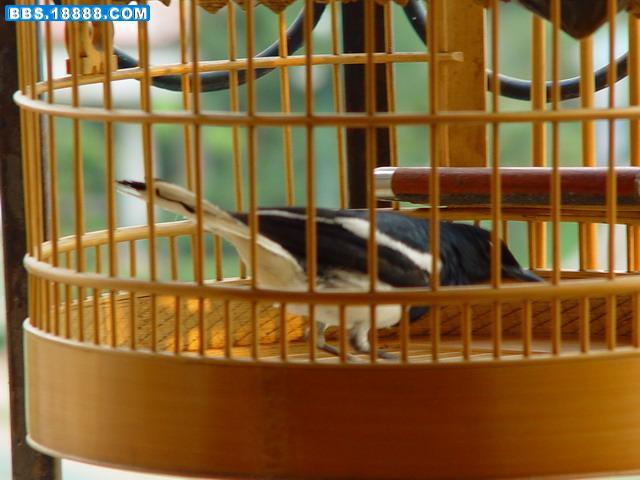 DSC06341_调整大小.JPG