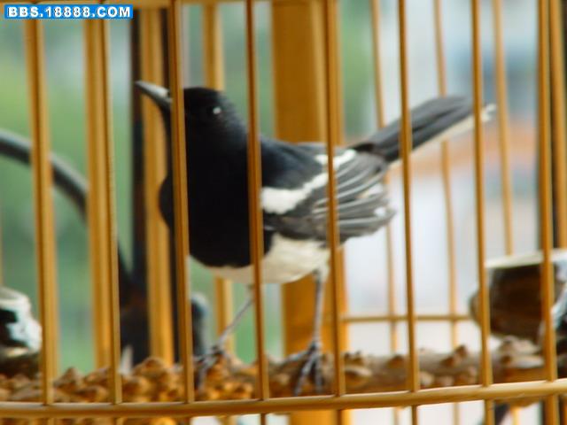 DSC06287_调整大小.JPG