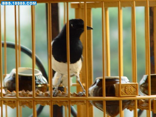 DSC06319_调整大小.JPG