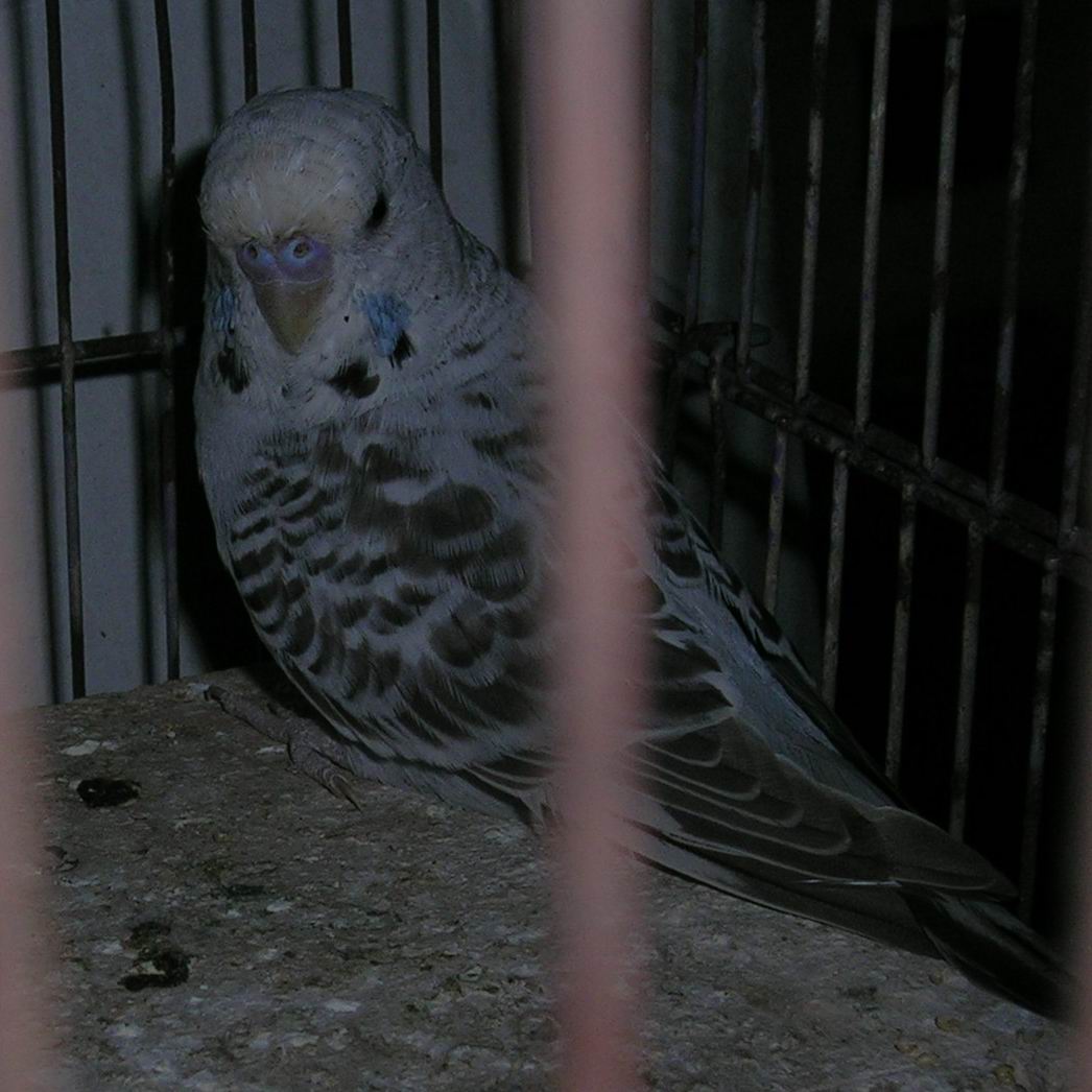 DSCN2234.JPG