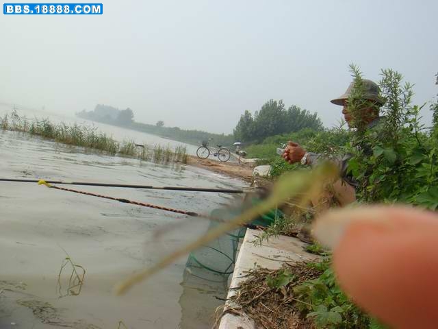 012.jpg