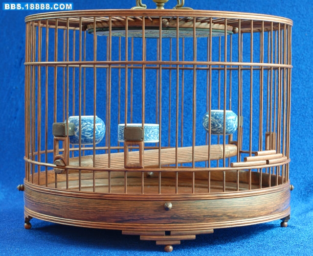 照片 218.jpg