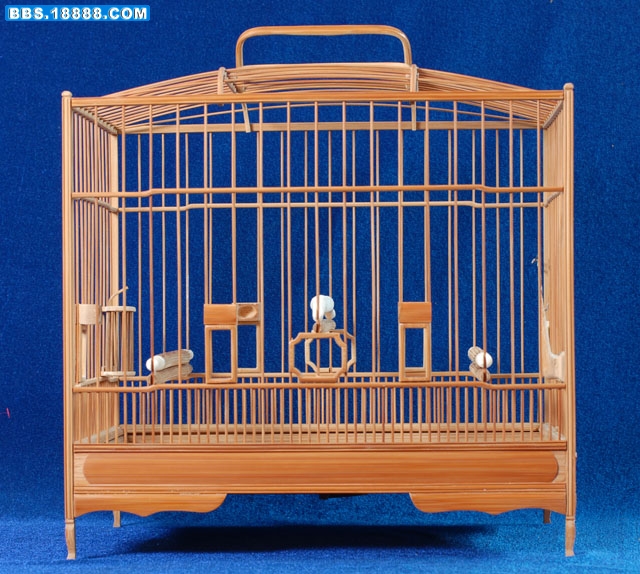 照片 003.jpg