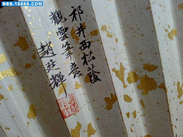 照片 2978.jpg