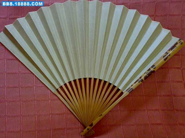 照片 3073.jpg