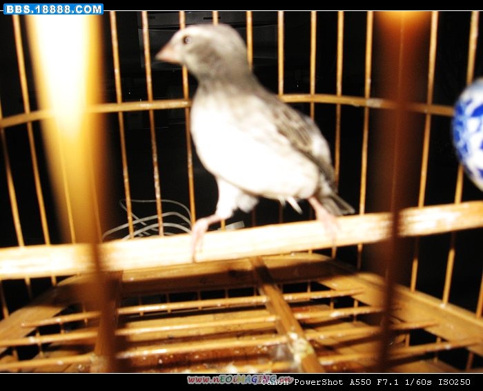 照片 061.jpg
