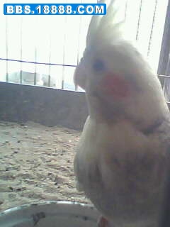 IMG0199A.jpg