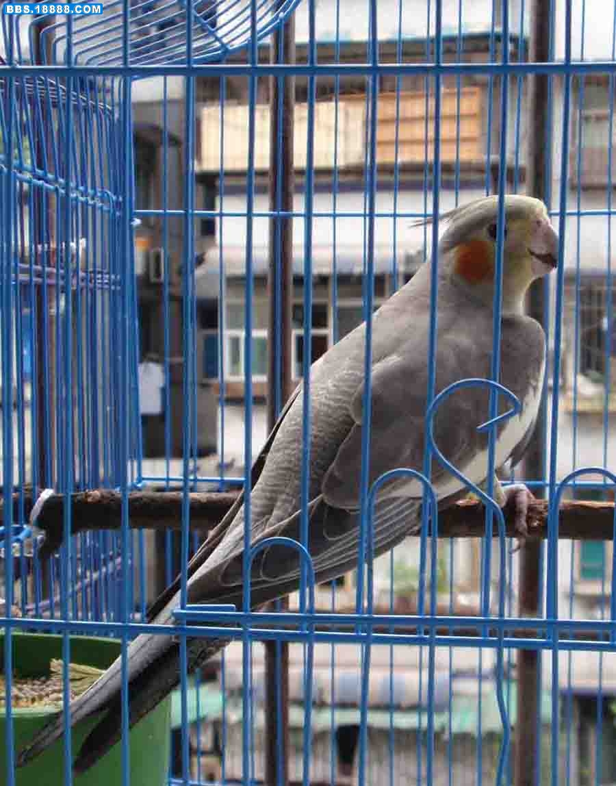 P1010008.jpg
