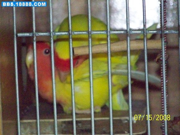 100_0650.JPG