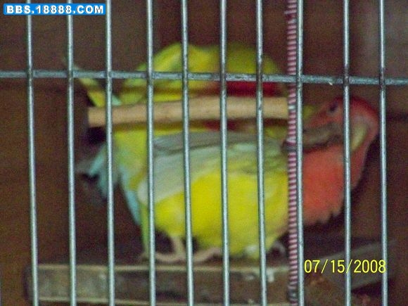 100_0657.JPG