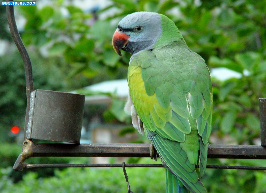 调整大小 DSC01413.JPG