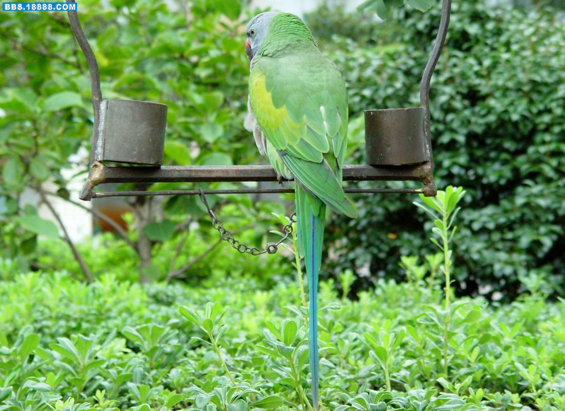 调整大小 DSC01411.JPG