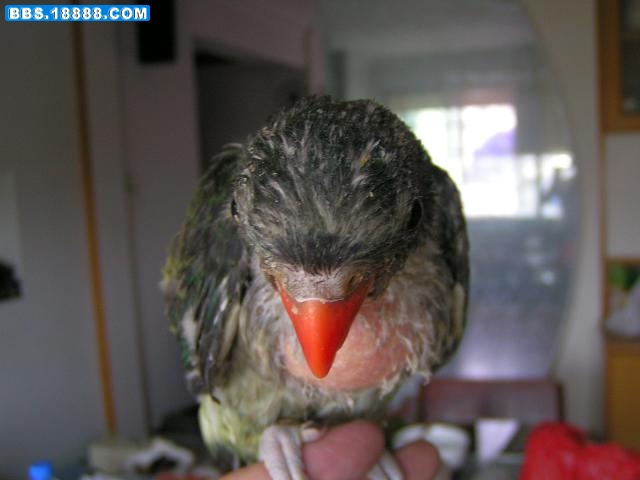 PICT7230.JPG