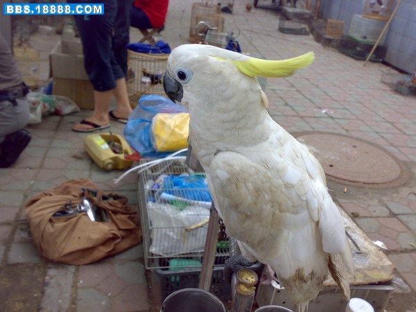 200807111646.jpg