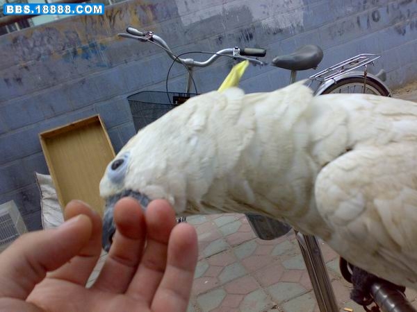200807091622.jpg