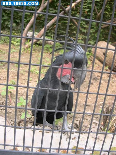 DSCN5199.JPG
