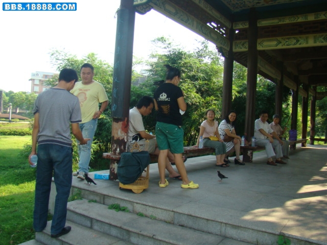 DSC05629.JPG