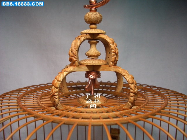 CIMG2570_缩小大小.jpg