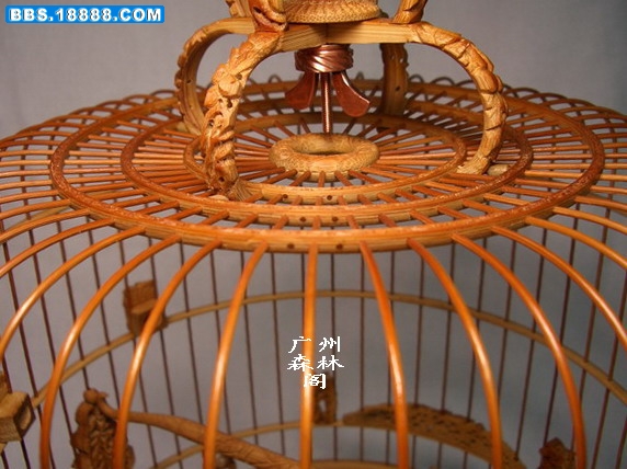 CIMG2611_缩小大小.jpg