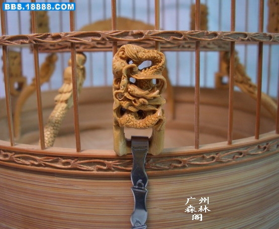 CIMG1842_缩小大小.jpg