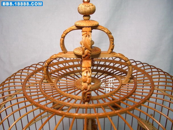 CIMG2599_缩小大小.jpg