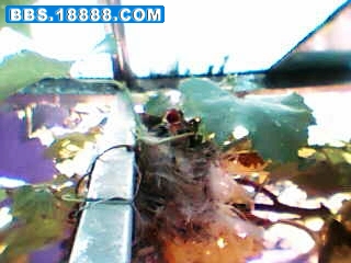 暴风截屏20080713231423.jpg