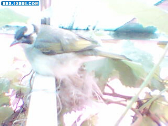 暴风截屏20080701205229_nEO_IMG.jpg