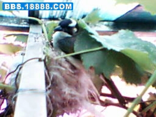 暴风截屏20080702223005.jpg