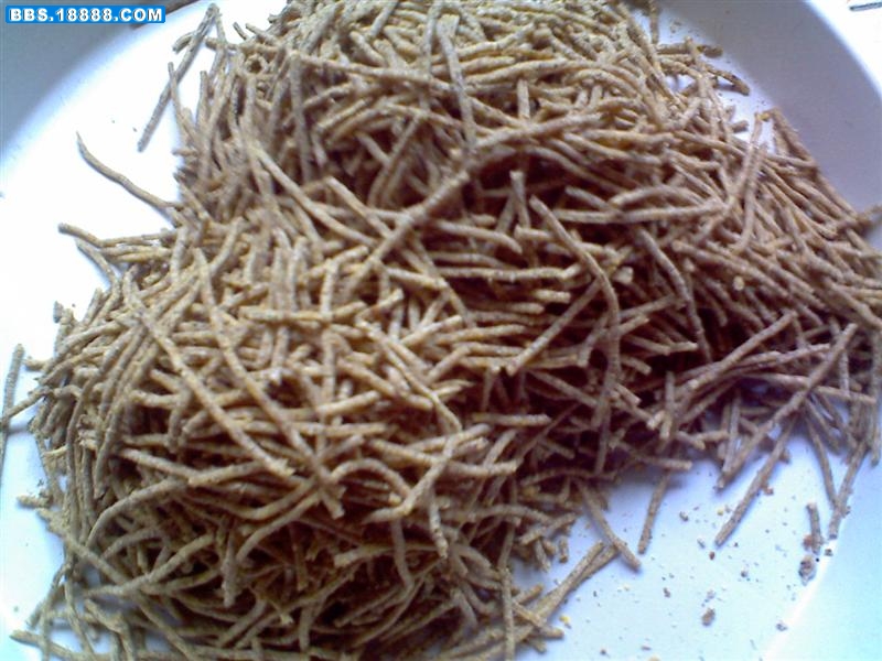 图片00g01 (中型).jpg