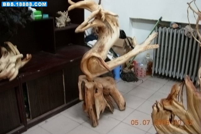 DSCN2100.jpg