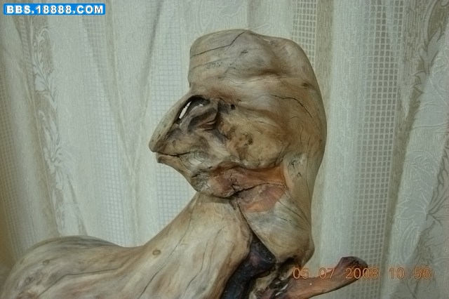 DSCN2103.jpg
