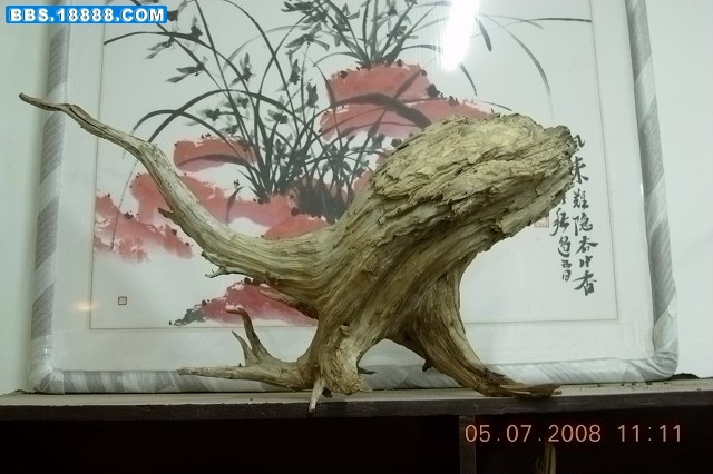 DSCN2113.jpg