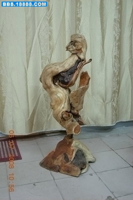 DSCN2104.jpg