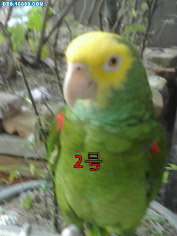 20080719372-002.jpg