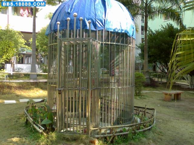 调整大小 20080203004.jpg