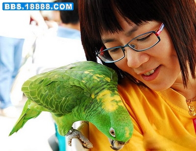 20080426_2c31f4c5614e471fb7ecmkvZ35XS3fqQ.jpg