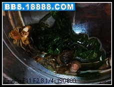 DSCF8289.JPG