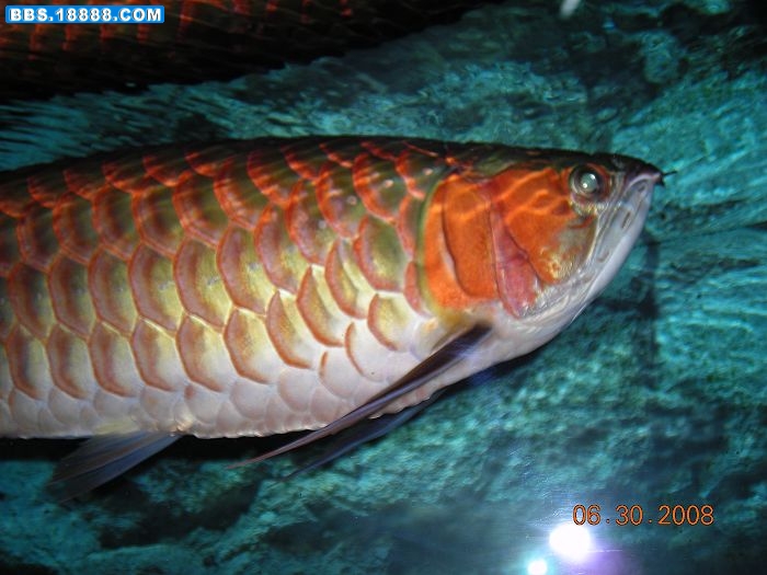 DSCN1728.jpg