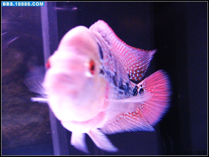 IMG_3143_nEO_IMG.jpg