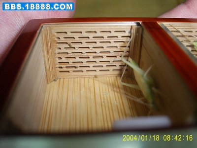 SUC50073.JPG