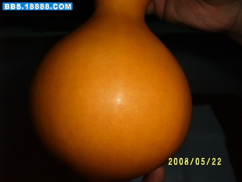 S3700042.jpg