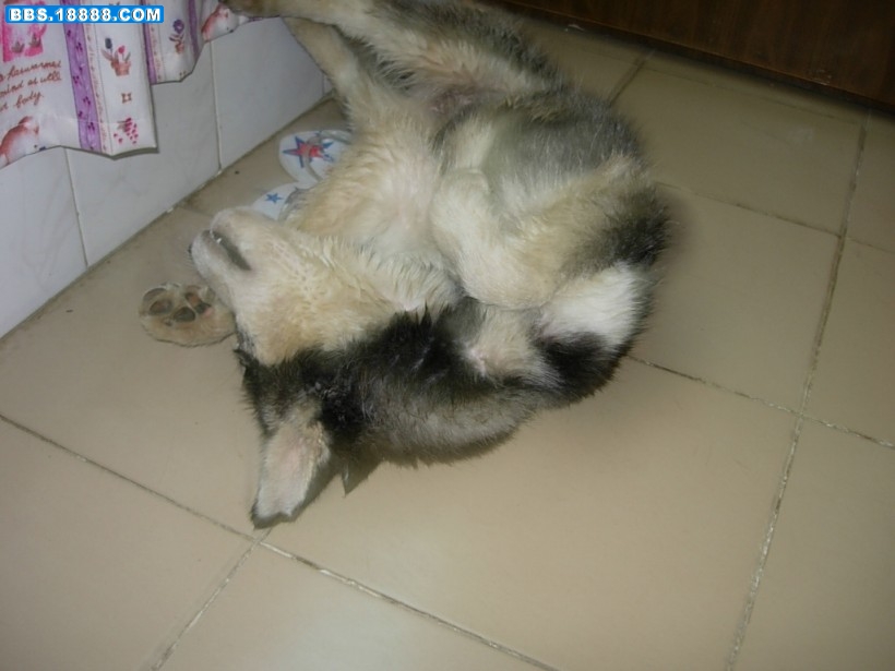 010.JPG
